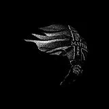 Boyd,Moses Vinyl Dark Matter