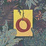 Al Pride Vinyl Sweet Roller