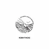 Robin Thicke LP (analog) On Earth, And In Heaven