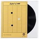 C.a.r. Vinyl Befunde Ab 1999