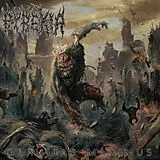 Pyrexia CD Gravitas Maximus