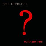 Soul Liberation Vinyl Who Are You?