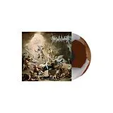 Near Death Condition Vinyl Ascent From The Mundane