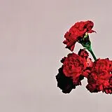 John Legend LP (analog) Love In The Future