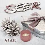 Seer CD Stad
