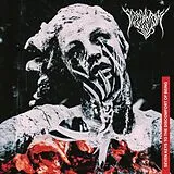 Predatory Void LP (analog) Seven Keys To The Discomfort Of Being (black Lp)