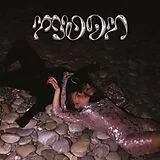 Fleeb Vinyl Moon