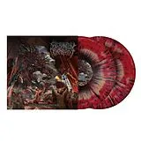 Extermination Dismemberment LP (analog) Dehumanization Protocol