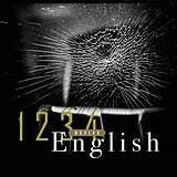 Modern English LP (analog) 1 2 3 4