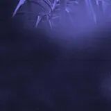 ASRA Vinyl Nocturnal Journey