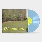 Calcutta Vinyl Evergreen... E Altre Canzoni (baby Blue Vinyl)