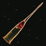Leprous LP (analog) Melodies Of Atonement (ltd. Transp. Red 2lp)
