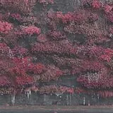 Sleep Token LP (analog) Even In Arcadia (opaque Black)