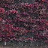 Sleep Token CD Even In Arcadia