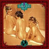 Die Ärzte Vinyl Live - Nach Uns Die Sintflut