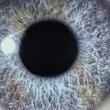 Dan Swanö LP (analog) Moontower (re-issue,Transp. Light Blue Lp)