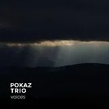 Pokaz Trio Vinyl Voices