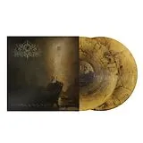 A Wake In Providence Vinyl I Write To You,My Darling Decay