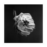 A Swarm Of The Sun LP (analog) An Empire