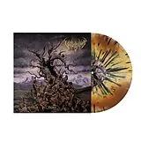 Vulvodynia Vinyl Entabeni (earthtone Splatterburst)