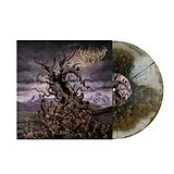Vulvodynia Vinyl Entabeni (iris Burst)