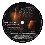 Powne,Audrey Vinyl Souled Out/feed The Fire Remixes