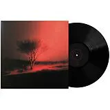 Joji Vinyl Piss In The Wind