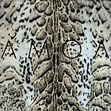 Amoa Vinyl I'll Be Kind
