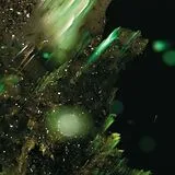 Abraham Vinyl Idsungwüssä