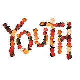 Citizen Vinyl Youth (10th Anniversary Edition Flower Petal Vinyl