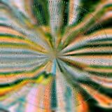 Hoffmann,Nils Vinyl Everlight