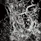 Bruit Vinyl Monolith Ep (the Fall Clear Vinyl Ed.)