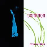 Common Vinyl Resurrection