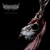 Mental Cruelty Vinyl Echoes Of A Forlorn Land (bloodlust Lp & Lp-bookle