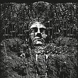 Suicide Forest Vinyl Reluctantly