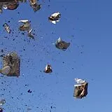 Ensemble CD Disown,Delete Ep