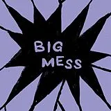 Public Body Vinyl Big Mess