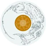 Christian Fennesz LP (analog) june