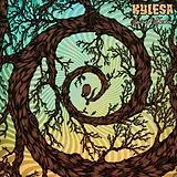 Kylesa LP (analog) Spiral Shadow