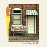 Up Around The Sun Vinyl Water Valley