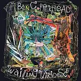 Ben Copperhead LP (analog) Wailing Viridescence