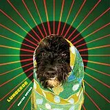 Lumberob LP (analog) Hunter Gather