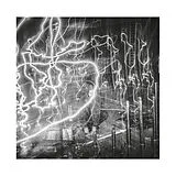 Fuji||||||||||ta LP (analog) mmm