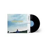 Dissy LP (analog) Anger Baby