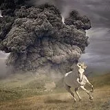 The White Buffalo CD Year Of The Dark Horse