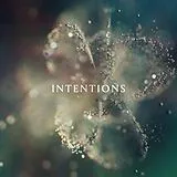 ANNA LP (analog) Intentions