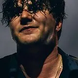 Faber LP (analog) Orpheum