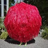 Stephan Eicher CD Ode