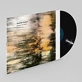 Avishai/Avishai,Y./Mori, Cohen LP (Vinyl) Ashes To Gold (Vinyl)