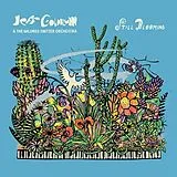 Goldblum,Jeff & The Mildred Snitzer Orchestra LP (analog) Still Blooming